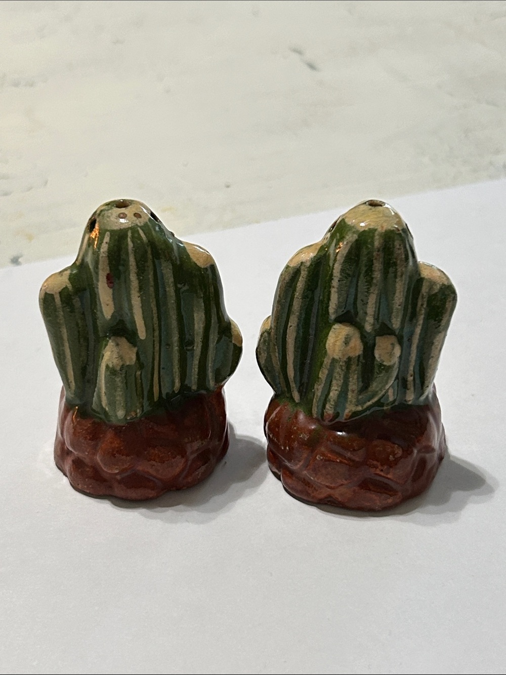 Ceramic Cactus Salt and Pepper Shakers - Green and Brown